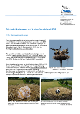 Störche in Rheinhessen Und Vorderpfalz – Info Juli 2017