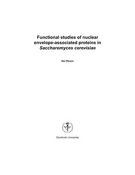 Functional Studies of Nuclear Envelope-Associated Proteins in Saccharomyces Cerevisiae