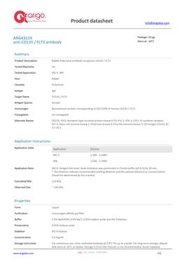 Anti-CD135 / FLT3 Antibody (ARG43119)
