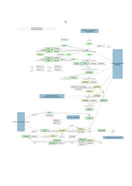 Glycolysis-Gluconeogenesis (Hsa00010), B