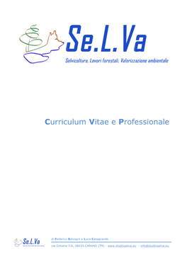 Curriculum Vitae E Professionale