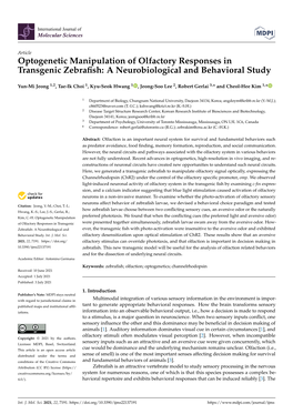 Optogenetic Manipulation of Olfactory Responses in Transgenic Zebrafish