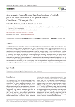 ﻿A New Species from Subtropical Brazil and Evidence of Multiple Pelvic Fin