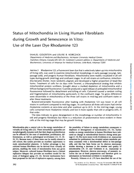 Use of the Laser Dye Rhodamine 123