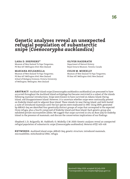 Genetic Analyses Reveal an Unexpected Refugial Population of Subantarctic Snipe (Coenocorypha Aucklandica)