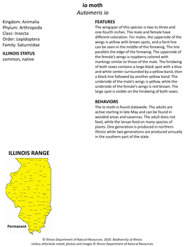Io Moth Automeris Io Kingdom: Animalia FEATURES Phylum: Arthropoda the Wingspan of This Species Is Two to Three and Class: Insecta One-Fourth Inches
