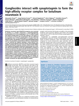 Gangliosides Interact with Synaptotagmin to Form the High-Affinity Receptor Complex for Botulinum Neurotoxin B