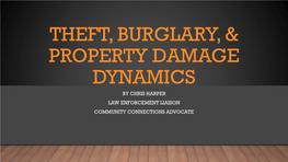 Theft, Burglary, & Property Damage Dynamics