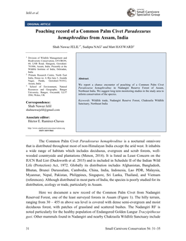 Poaching Record of a Common Palm Civet Paradoxurus Hemaphroditus from Assam, India