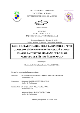 CAMELEON Calumma Nasutum (DUMERIL & BIBRON, 1836) DE LA FORET DE MOYENNE ET DE BASSE ALTITUDE DE L’EST DE MADAGASCAR