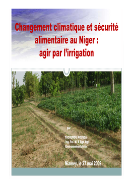 Changement Climatique Et Sécurité Alimentaire Au Niger : Agir Par L’Irrigation