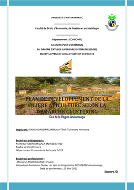 Plan De Développement De La Filière Apiculture Selon La Démarche Clustering : Cas De La Région Analamanga