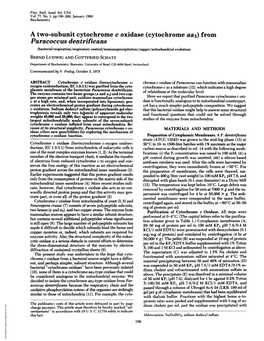 A Two-Subunit Cytochrome C Oxidase (Cytochrome Aa3) from Paracoccus