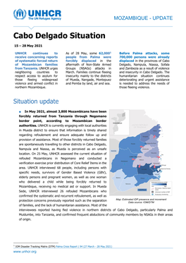 Cabo Delgado Situation