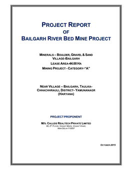 Project Report