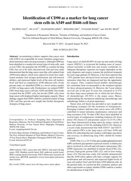 Identification of CD90 As a Marker for Lung Cancer Stem Cells in A549 and H446 Cell Lines