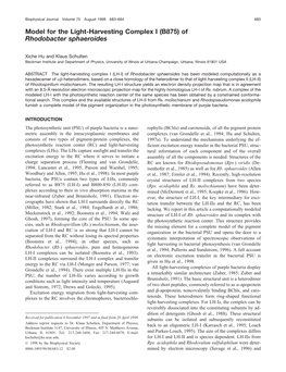 Model for the Light-Harvesting Complex I (B875) of Rhodobacter Sphaeroides