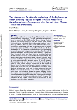 The Biology and Functional Morphology of the High-Energy Beach Dwelling Paphies Elongata (Bivalvia: Mactroidea: Mesodesmatidae)