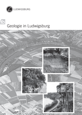 Geologie in Ludwigsburg, Jan. 2012