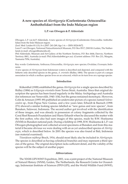 A New Species of Alertigorgia (Coelenterata: Octocorallia: Anthothelidae) from the Indo Malayan Region