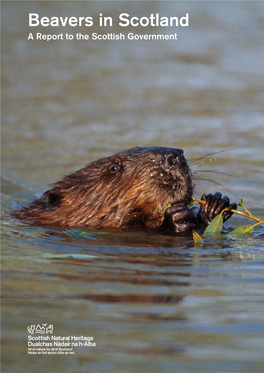 Beavers in Scotland a Report to the Scottish Government Beavers in Scotland: a Report to the Scottish Government