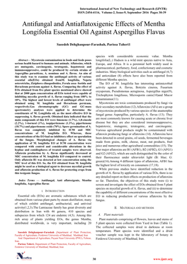 Antifungal and Antiaflatoxigenic Effects of Mentha Longifolia Essential Oil Against Aspergillus Flavus