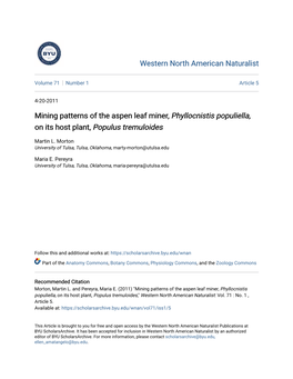 Mining Patterns of the Aspen Leaf Miner, Phyllocnistis Populiella, on Its Host Plant, Populus Tremuloides