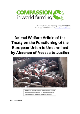 Animal Welfare Article of the Treaty on the Functioning of the European Union Is Undermined by Absence of Access to Justice