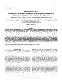 RESEARCH ARTICLE Bottles As Models: Predicting the Effects of Varying Swimming Speed and Morphology on Size Selectivity and Filtering Efficiency in Fishes