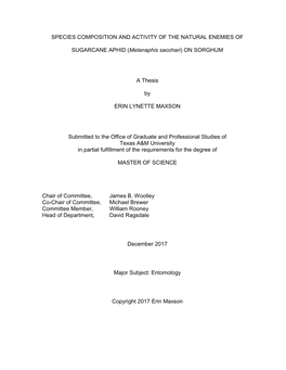 (Melanaphis Sacchari) on SORGHUM a Thesis by ERIN