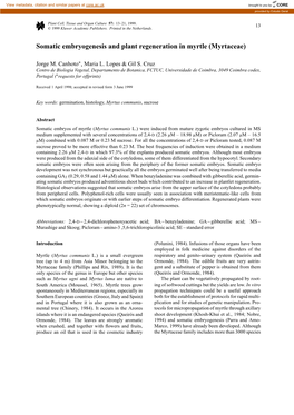 Somatic Embryogenesis and Plant Regeneration in Myrtle (Myrtaceae)