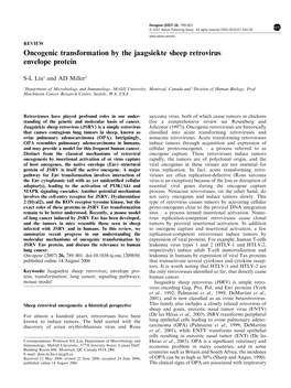 Oncogenic Transformation by the Jaagsiekte Sheep Retrovirus Envelope Protein