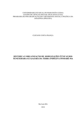 Dinâmica E Organização De Mobilizações Étnicas Dos Tenetehara-Guajajara Da Terra Indígena Pindaré-Ma