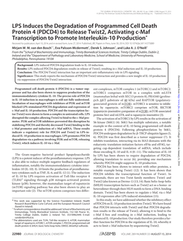 LPS Induces the Degradation of Programmed Cell Death Protein 4