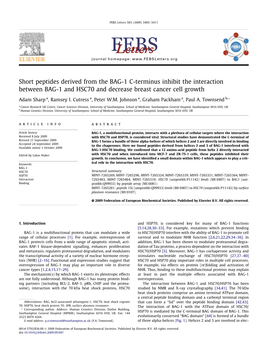 Short Peptides Derived from the BAG-1 C-Terminus Inhibit the Interaction Between BAG-1 and HSC70 and Decrease Breast Cancer Cell Growth