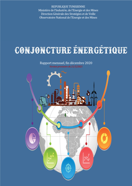 Rapport Mensuel, Fin Décembre 2020 Version Provisoire Du 21/5/2021