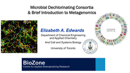 Microbial Dechlorinating Consortia & Brief Introduction to Metagenomics