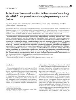 Activation of Lysosomal Function in the Course of Autophagy Via Mtorc1 Suppression and Autophagosome-Lysosome Fusion