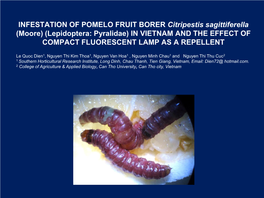 INFESTATION of POMELO FRUIT BORER Citripestis Sagittiferella (Moore) (Lepidoptera: Pyralidae) in VIETNAM and the EFFECT of COMPACT FLUORESCENT LAMP AS a REPELLENT