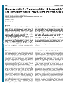 Wasps (Vespa Crabro and Vespula Sp.)