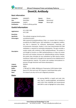 Dnmt3l Antibody