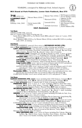 Tattersalls October Yearling Sales