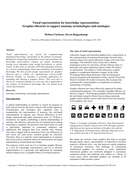 Graphics Libraries to Support Anatomy Terminologies and Ontologies