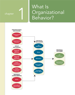 What Is Organizational Behavior?