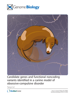 Candidate Genes and Functional Noncoding Variants Identified in a Canine Model of Obsessive-Compulsive Disorder Tang Et Al