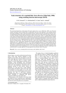 Scale Structure of a Cyprinid Fish, Garra Rossica (Nikol'skii, 1900) Using