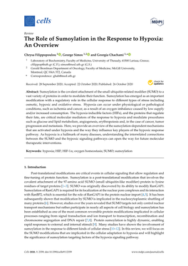 The Role of Sumoylation in the Response to Hypoxia: an Overview