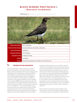 BLACK-WINGED PRATINCOLE | Glareola Nordmanni