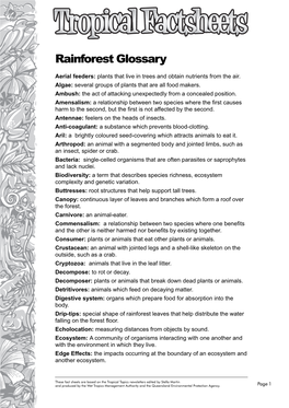 Rainforest Glossary