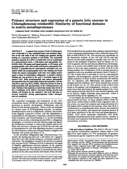 Primary Structure and Expression of a Gamete Lytic Enzyme In